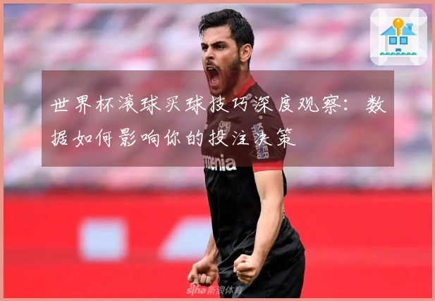 世界杯滚球买球技巧深度观察：数据如何影响你的投注决策