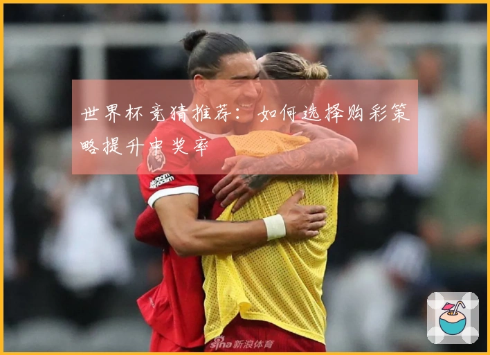 世界杯竞猜推荐：如何选择购彩策略提升中奖率