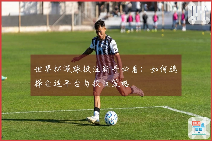 世界杯滚球投注新手必看：如何选择合适平台与投注策略
