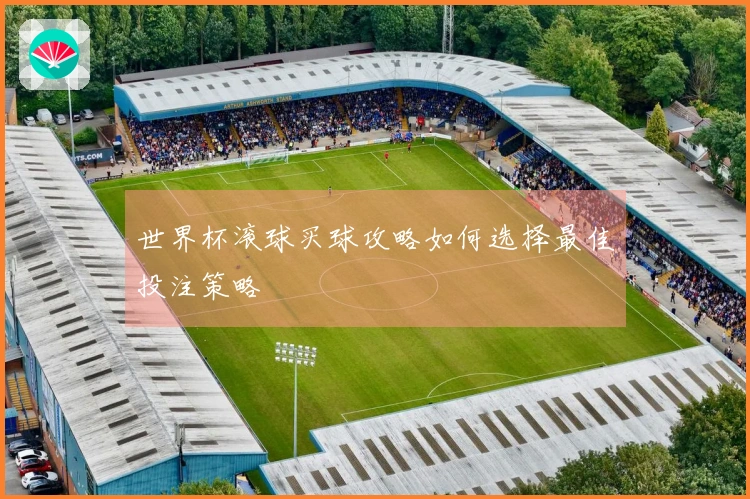 世界杯滚球买球攻略如何选择最佳投注策略