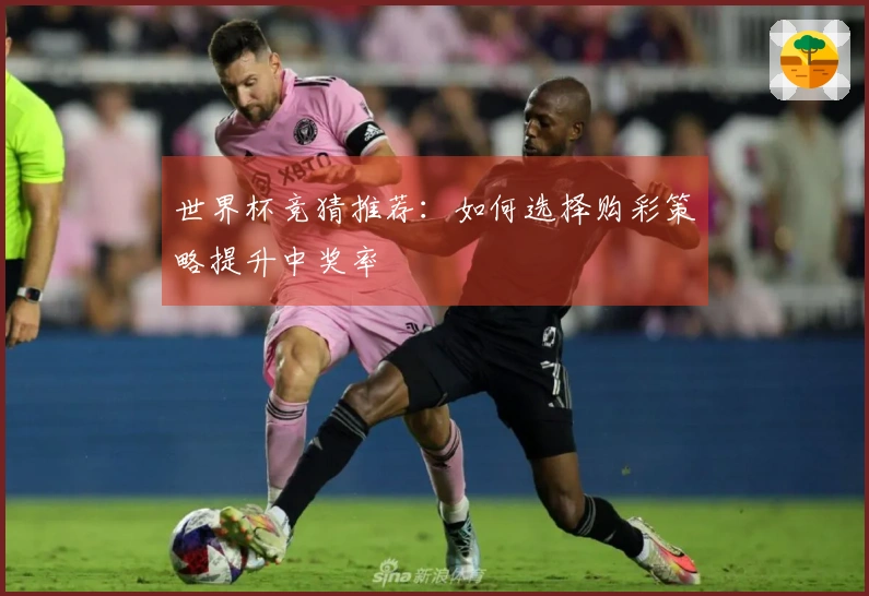 世界杯竞猜推荐：如何选择购彩策略提升中奖率