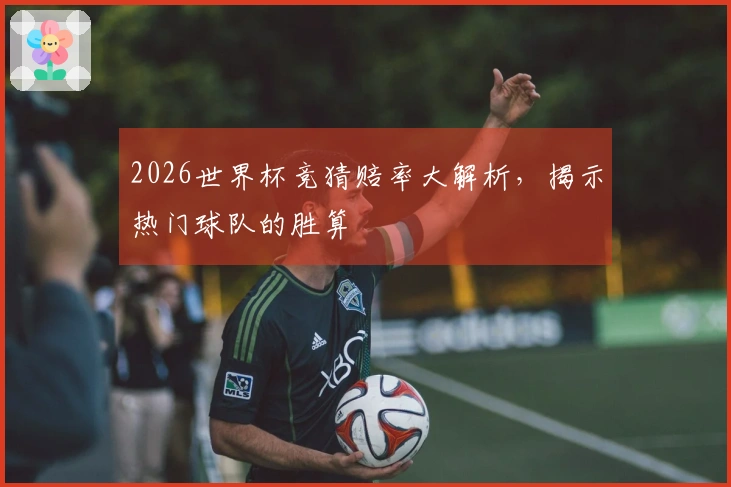 2026世界杯竞猜赔率大解析，揭示热门球队的胜算