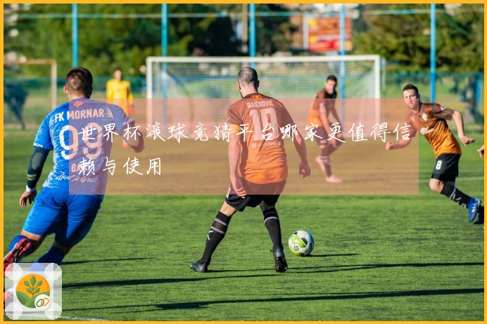 世界杯滚球竞猜平台哪家更值得信赖与使用
