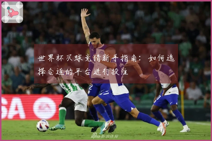 世界杯买球竞猜新手指南：如何选择合适的平台进行投注