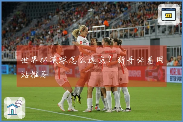 世界杯滚球怎么选点？新手必看网站推荐