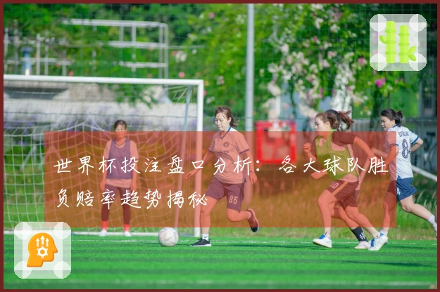 世界杯投注盘口分析：各大球队胜负赔率趋势揭秘