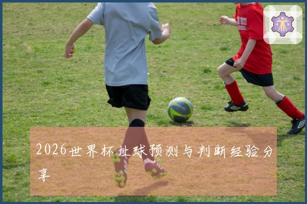 2026世界杯让球预测与判断经验分享