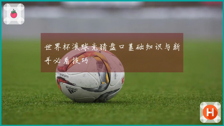 世界杯滚球竞猜盘口基础知识与新手必看技巧