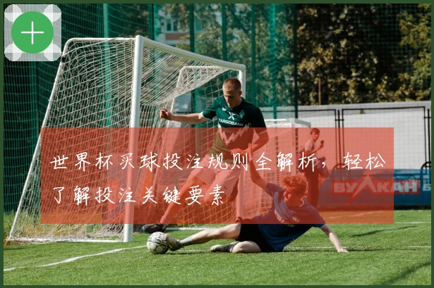世界杯买球投注规则全解析，轻松了解投注关键要素