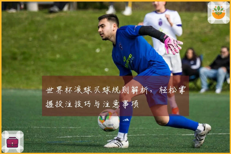 世界杯滚球买球规则解析，轻松掌握投注技巧与注意事项