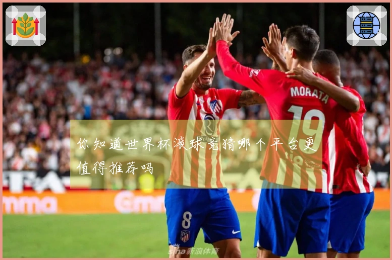 你知道世界杯滚球竞猜哪个平台更值得推荐吗