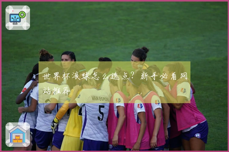 世界杯滚球怎么选点？新手必看网站推荐