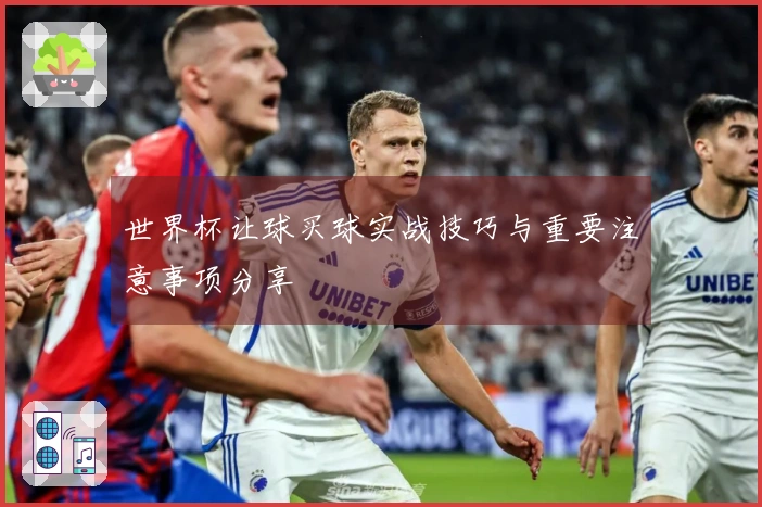 世界杯让球买球实战技巧与重要注意事项分享