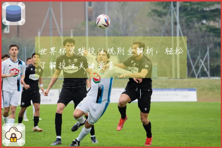 世界杯买球投注规则全解析，轻松了解投注关键要素
